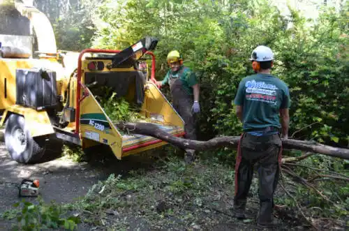 tree services Pasadena